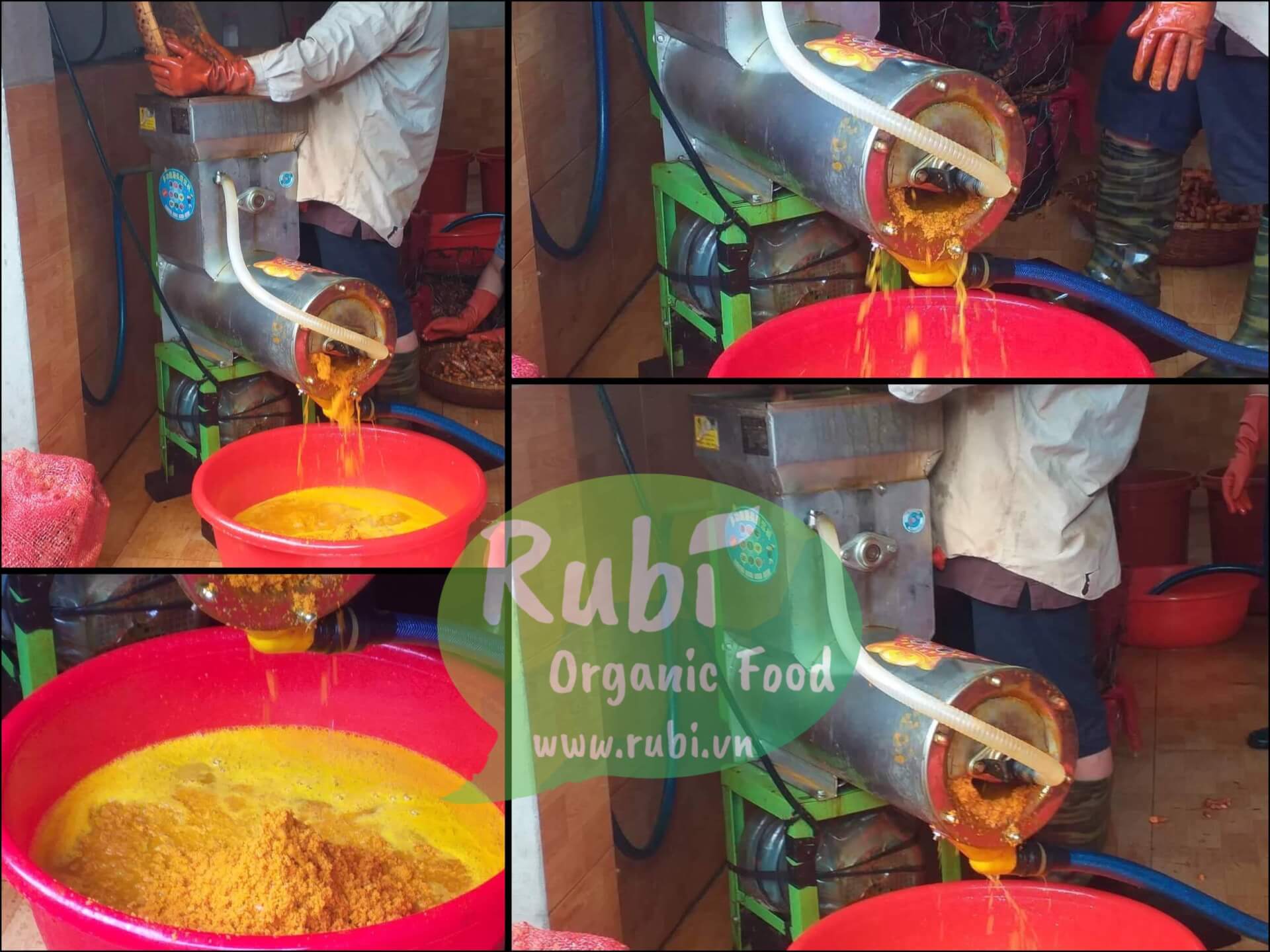 Sản xuất Tinh Bột Nghệ cơ sở chế biến Rubi Organic